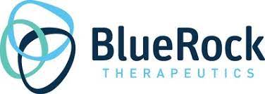 BlueRock Therapeutics anuncia la finalización de la inscripción del ensayo de fase 1 en pacientes con enfermedad de Parkinson