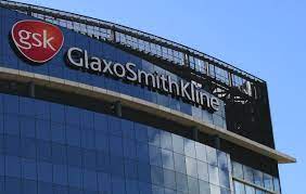 GlaxoSmithKline (GSK) reunió a expertos para explorar el papel que desempeñan las vacunas en la protección de las personas contra las enfermedades, así como para encontrar formas de hacerlas más sostenibles